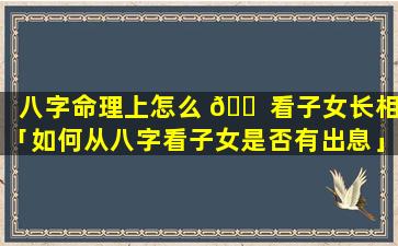 八字命理上怎么 🐠 看子女长相「如何从八字看子女是否有出息」